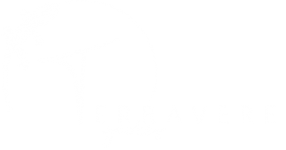 Terravere Geckos Logo